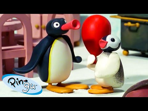 Pingu and Pinga 🐧 | Pingu – Official Channel | Cartoons For Kids - Kids (0-4), Kingdom Kids Zone - Pingu - Official Channel