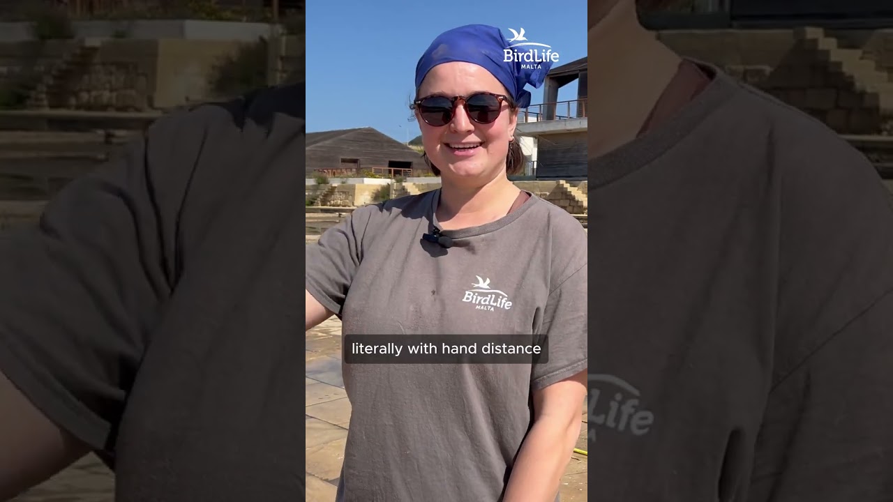 🌊 March at Salina – time to get to work! 🌿