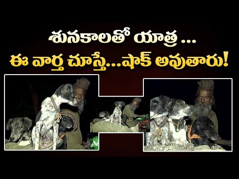 శునకాలతో అమర్‌నాథ్ యాత్ర Sadhu Dula Nath Visits Amarnath With His Dogs | YOYO TV Channel