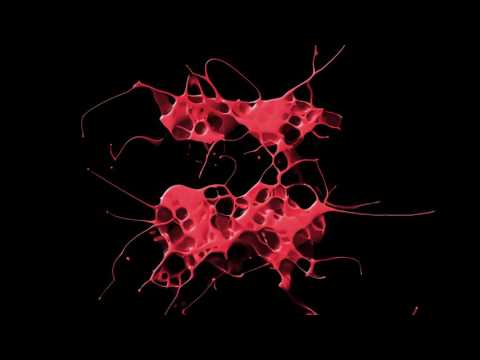 Faarsheed & Beaux-Tech Feat. Cari Golden - Daniel (Matan Caspi & Irad Brant Remix)