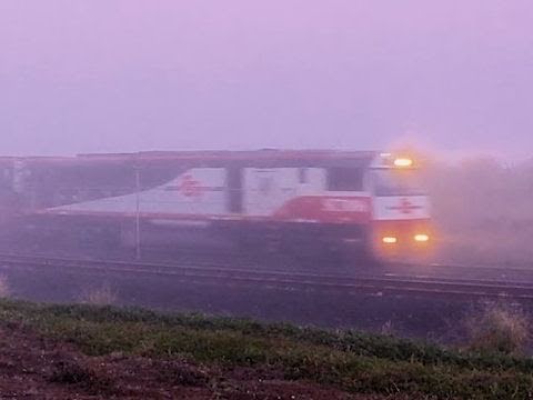 Trains in Australia - Specialised Container Transport freight train in fog - PoathTV