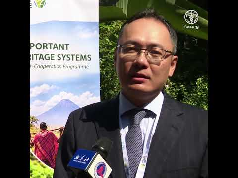 FAO–China cooperation in action
