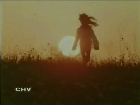 Veruschka 1971  - Morricone nel contesto 1