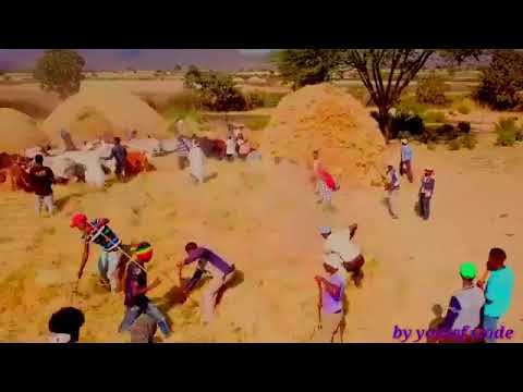 ምርጥ የምንጃር ዘፈን