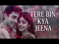 Hindi Songs 90s Hits Tere Bin Kya Jeena Songs 90severgreen 90ssong Hindisongs