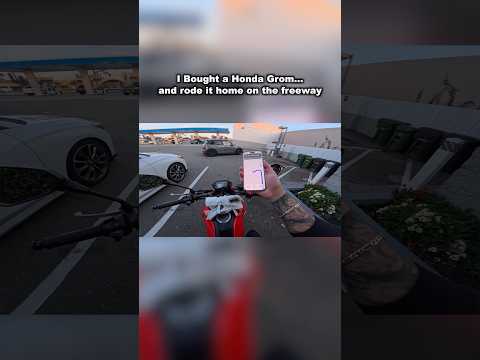 Would You Ride a Honda Grom on the Freeway?! 😳 #hondagrom #honda #grom #freeway #motorcycle