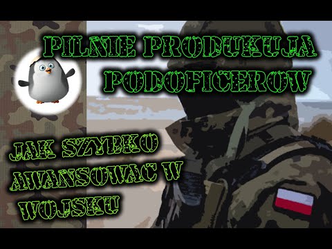 Podoficerowie pilnie potrzebni w wojsku. szybkie awanse dzieci , szeregowy szybki awans all w armie3