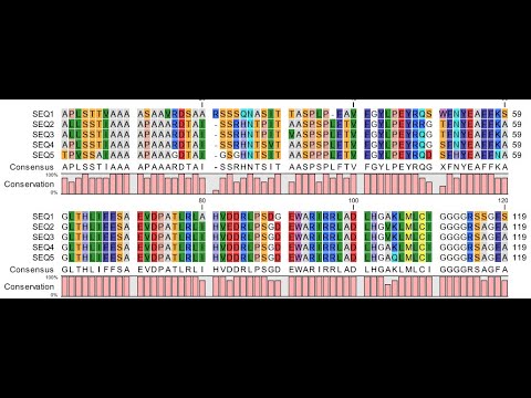 Alignment Tutorial: CLC Sequence View Software