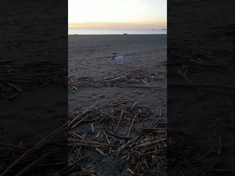 Robin. 20/12/2024 (2)