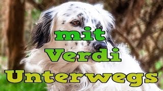 preview picture of video 'mit meinen Hund Verdi Unterwegs'