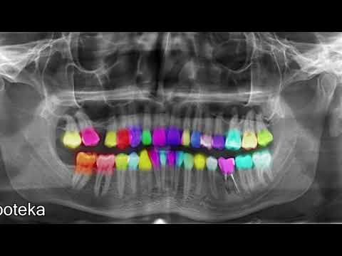 deHuc - Zuboteka (New Track)