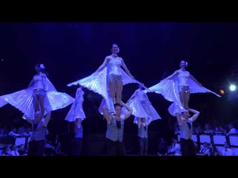 RTSF 2016 - Die Überflieger