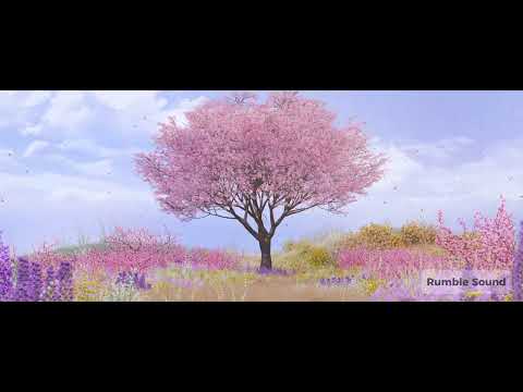 DMZ 생생누리 체험관