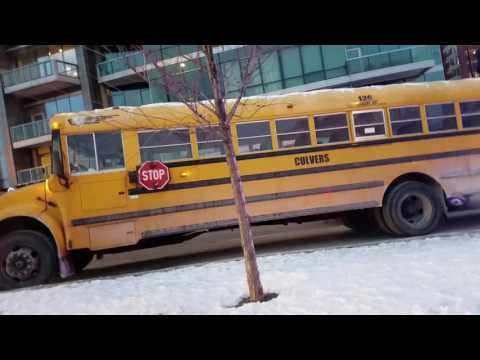 Taking LSD to NVT #213