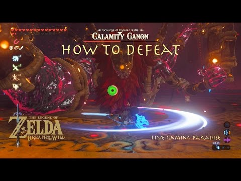 Breath of the Wild - Calamity Ganon Boss Fight Guide