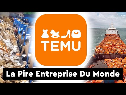 La Vérité Choquante sur TEMU : Ce Que Vous Devez Savoir