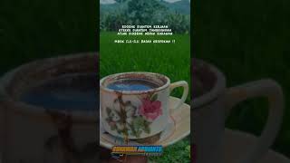 Download lagu story whatsap kopi pagi dan kata kata bijak hari ini mp3
