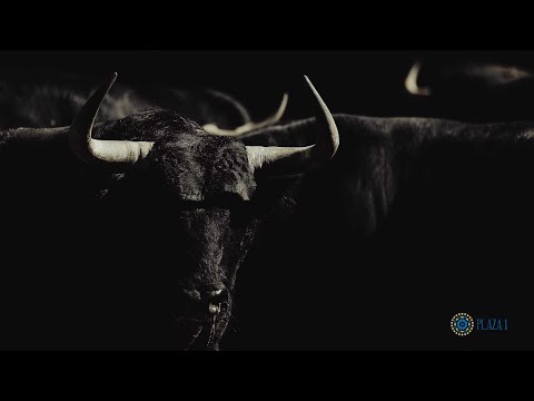 SORTEO | Corrida toros 13 mayo, Jandilla