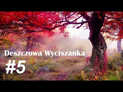 Relaksujący odgłos deszczu uspokaja i usypia w 10 minut - WYCISZANKA
