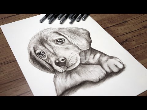 Cute Dog Head Drawing Tutorial | How to Draw a Realistic Dog | Animals Drawing Step by Step