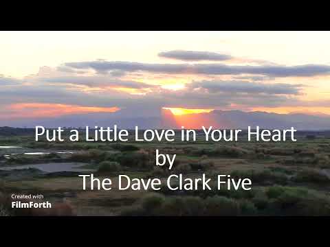 The Dave Clark Five - Put a Little Love in Your Heart