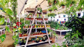 Konyaalti Çiçek Peyzaj ²⁰²¹ 🌸 - Antalya Online Çiçek Siparişi 🌸 Konyaa