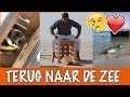 OMG DE VRIJLATING VAN BRITT DE ZEEHOND | DierenpraatTV