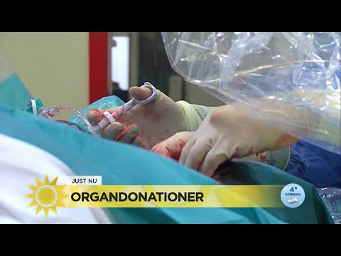 Därför är det organbrist i Sverige – många dör på "fel sätt" - Nyhetsmorgon (TV4)