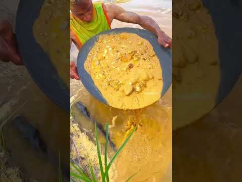 Looking for gold and panning for gold buried in river walls #goldpanning #mininggold #goldhunter