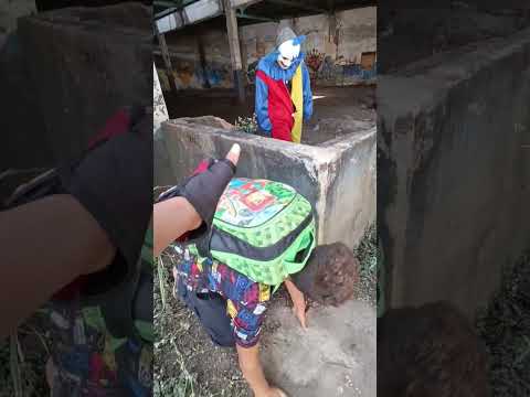 O PALHAÇO QUASE PEGOU.  #shortsyoutube