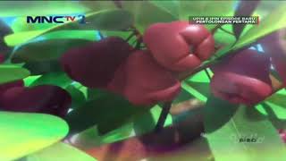 Download lagu Upin&Ipin Musim 14/ Peti Pertolongan Full Episode 2/Upin Ipin Terbaru 2020 mp3