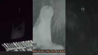 Download lagu SERAM..! PENAMPAKAN HANTU NYATA KUNTILANAK BIKIN KAGET DAN POCONG DI HUTAN MENGEJAR  mp3