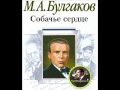 Собачье сердце - М.А. Булгаков 