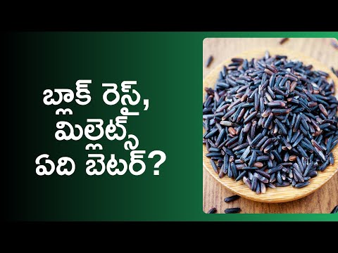 black rice health benefits