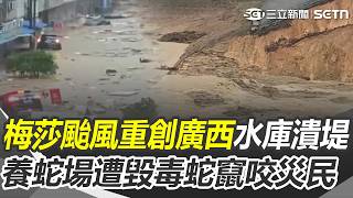 梅莎颱風重創中國廣西「水庫潰堤」！ 養蛇場遭洪水沖毀「毒蛇亂竄」咬傷災民｜三立新聞網 SETN.com