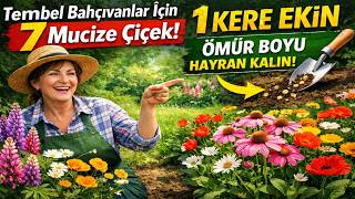 Tembel Bahçıvanlar İçin 7 Mucize Çiçek: 1 Kez Ekin, ÖMÜR BOYU Hayran Kalın!
