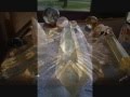 RETURN TO TUNGUSKA - ALAN PARSONS