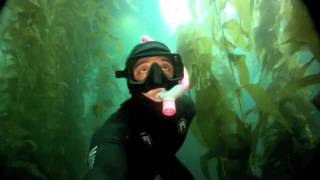 preview picture of video 'GoPro Freediving In Kelp at Two Harbors, Catalina Island, CA.'