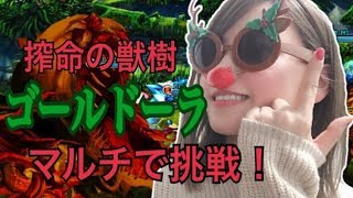 【グラサマ】覚醒級☆ゴールドーラにマルチで挑む！【ポジティブ女子のゲーム実況】