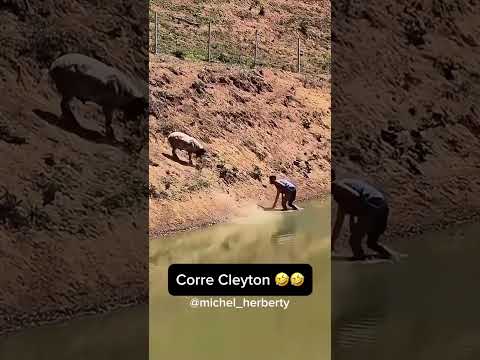 Minas Gerais: Lendas mineiras: Cleyton ágil e o misterioso bode.