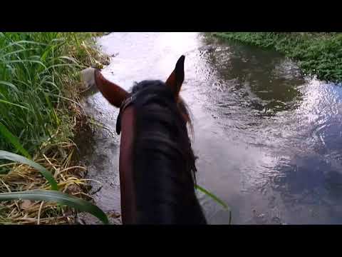 Cabalgata km 26 - El Carmen