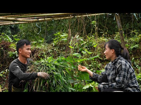 Peaceful Corner of the Garden: Weeding Together, Nurturing Green Shoots