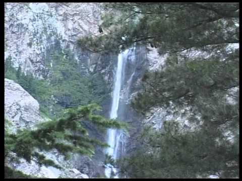 Urdu Khutba Juma on October 14, 1983 at Daruzikar Lahore by Hazrat Mirza Tahir Ahmad