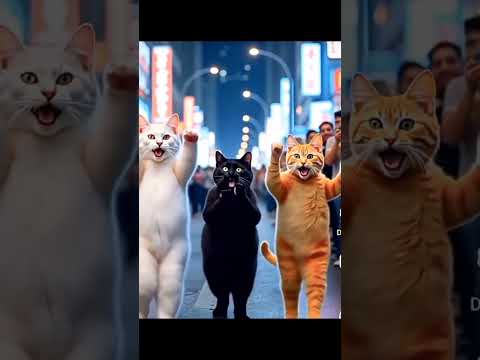 The three cats have a beautiful friendship.#foryou #fypシ゚viral #vairalshort #cat