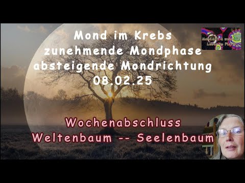 Wochenabschluss - Weltenbaum = Seelenbaum? Gedanken von Almut Imura