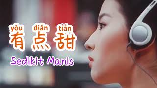 Download lagu 有点甜  • You Dian Tian  • 汪苏泷 • Sedikit Manis • Lagu Mandarin Subtitle Indonesia - Lirik Terjemahan mp3