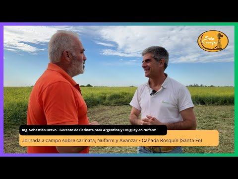 Jornada a campo sobre carinata, Nufarm y Avanzar  - Cañada Rosquín (Santa Fe)