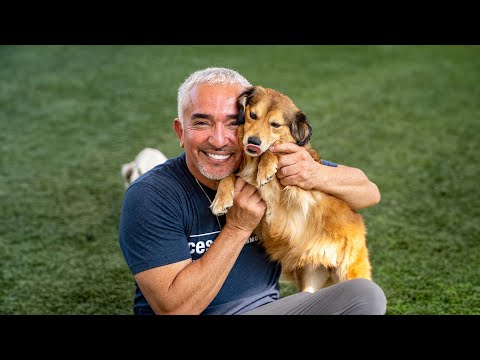 Everybody Meet Sophia! | Pack Origin Story