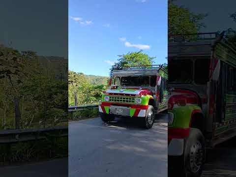 Algeciras Huila           Cootranhuila 1099 #corridostumbados