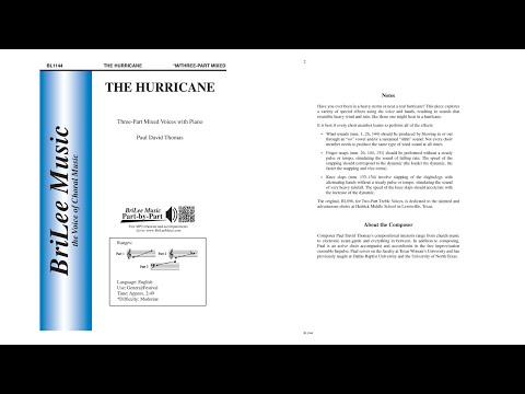 The Hurricane (BL1144) by Paul David Thomas